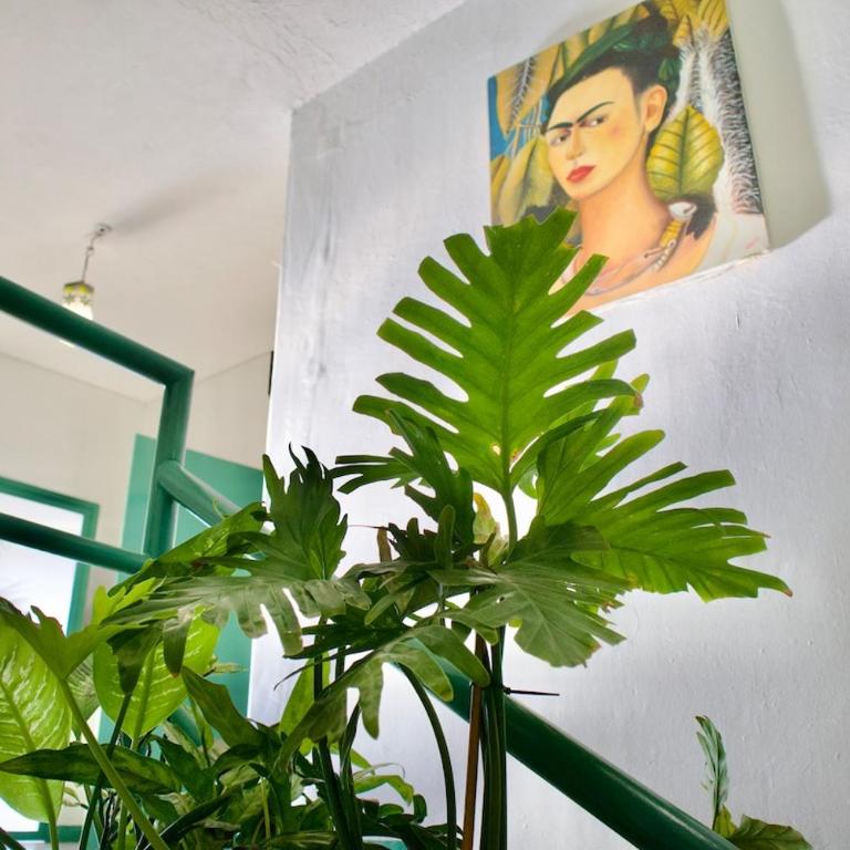 Stylish Art Déco Mexican House with rooftop - Three-Bedroom Apartment with View - 8