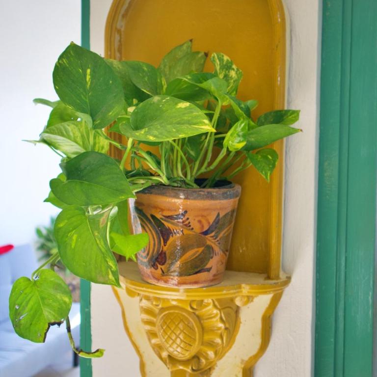 Stylish Art Déco Mexican House with rooftop - Three-Bedroom Apartment with View - 60