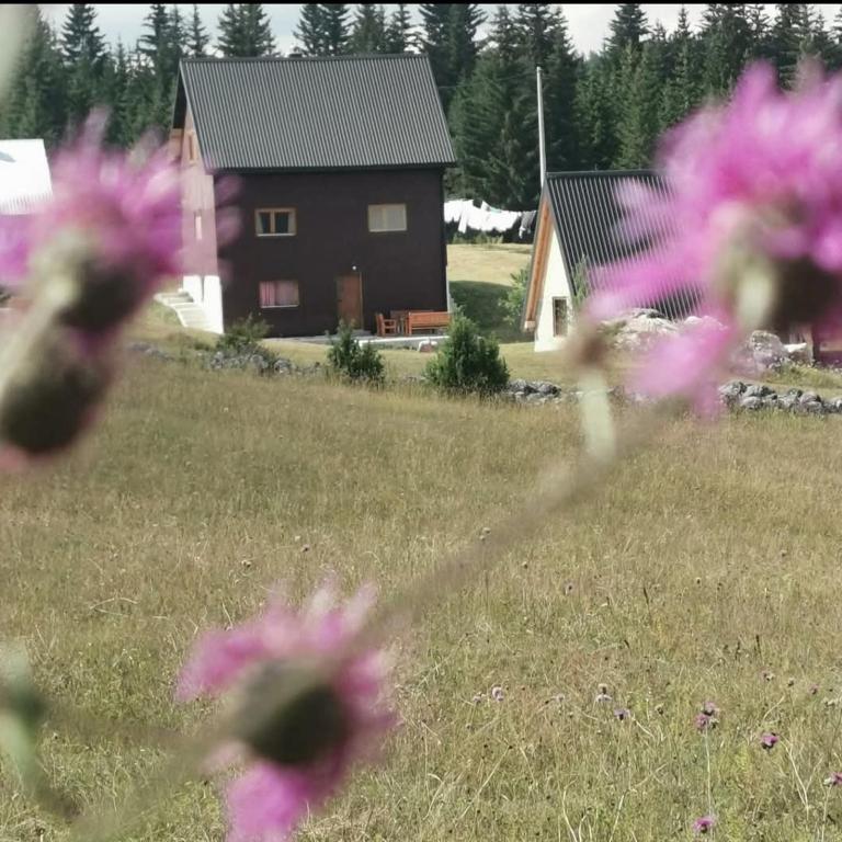 Village house Popovic - Studio with Mountain View - 6