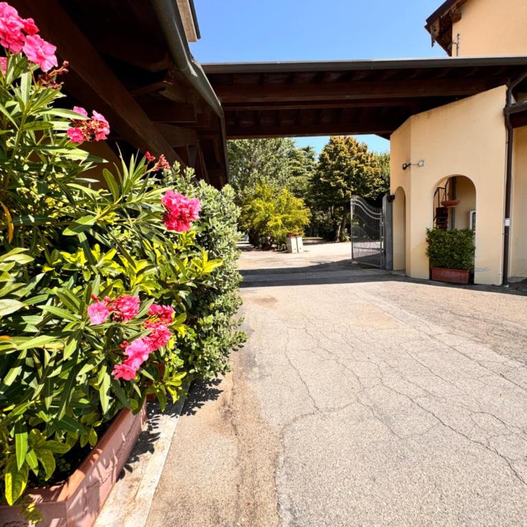 Hotel Fattori - Economy Single Room - 2