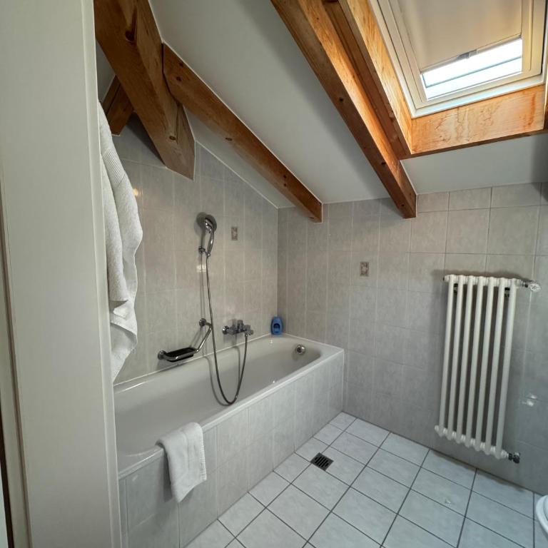 Special apartment in Ascona - Appartamento con 1 Camera da Letto - 12