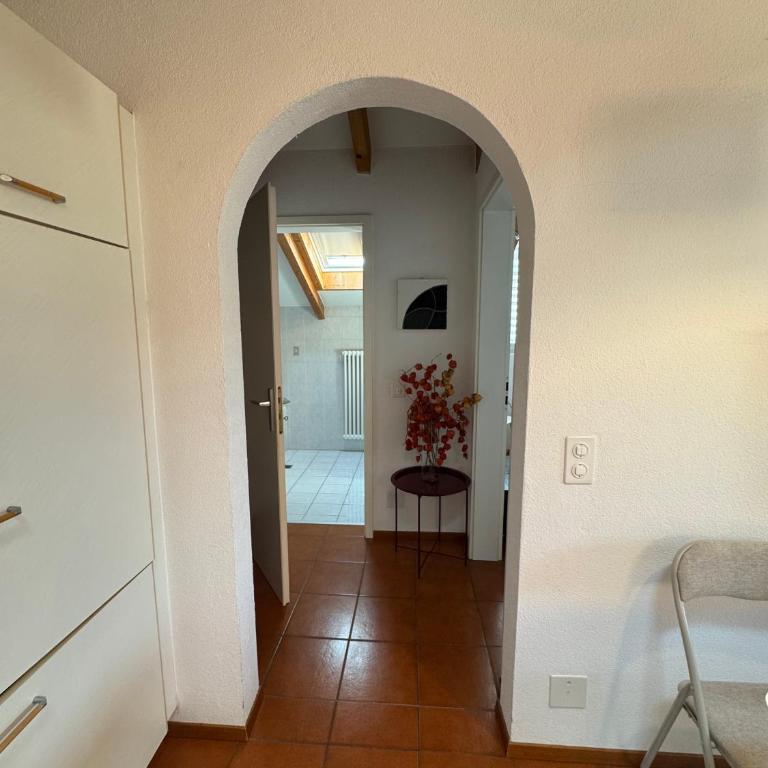 Special apartment in Ascona - Appartamento con 1 Camera da Letto - 16