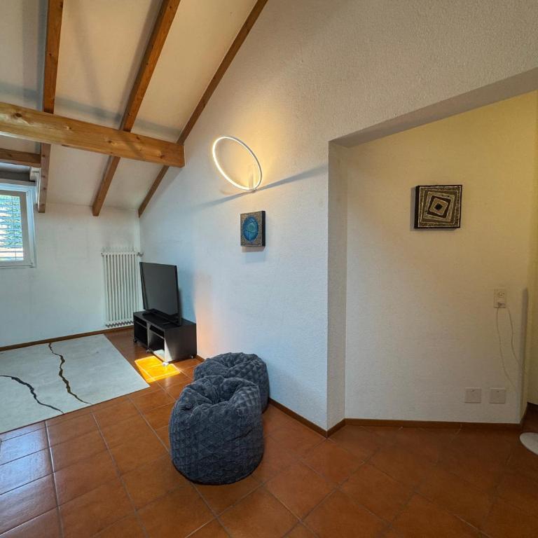 Special apartment in Ascona - Appartamento con 1 Camera da Letto - 15