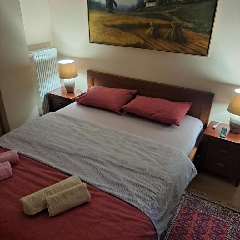 Apartman Banja Koviljaca I - One-Bedroom Apartment - 13
