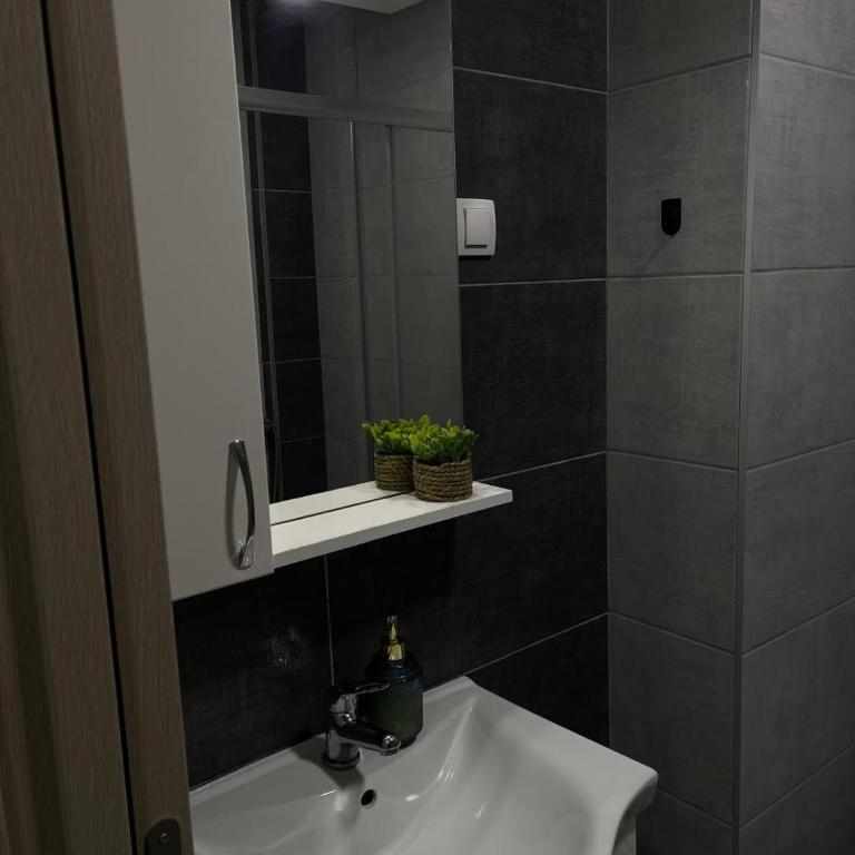 Stan na Novom Bubnju - One-Bedroom Apartment - 16