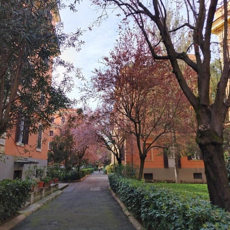 Suite Tevere star - One-Bedroom Apartment - 22