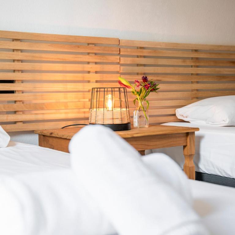MEDANO4YOU Zoe's Garden Holiday Home - Apartamento de 2 dormitorios con terraza - 28