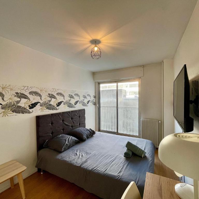 Tour Eiffel Abbe Groult Lecourbe - Appartement 1 Chambre - 3