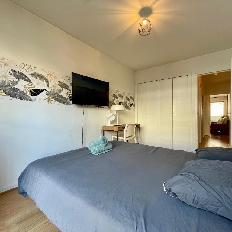 Tour Eiffel Abbe Groult Lecourbe - Appartement 1 Chambre - 2