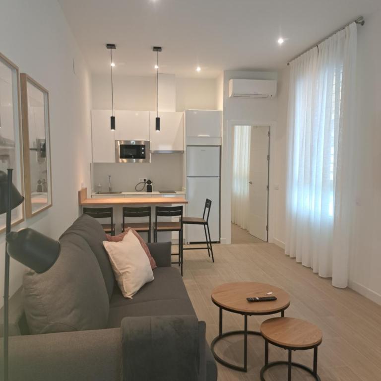 About Sevilla 1 - Apartamento de 1 dormitorio - 35
