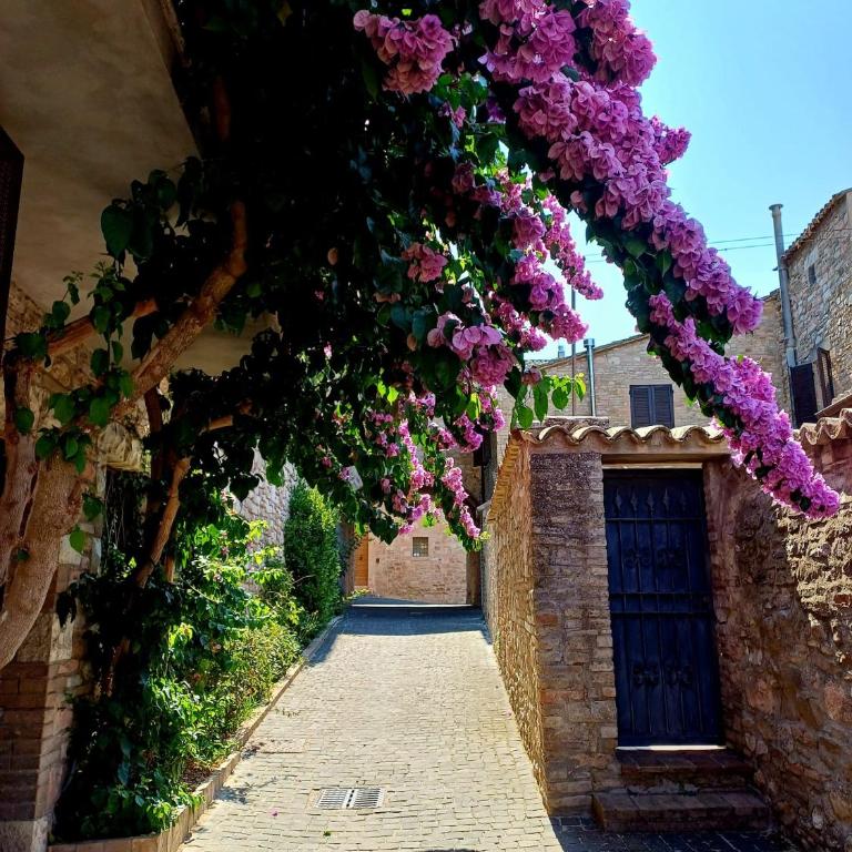 La Bouganville - One-Bedroom House - 33