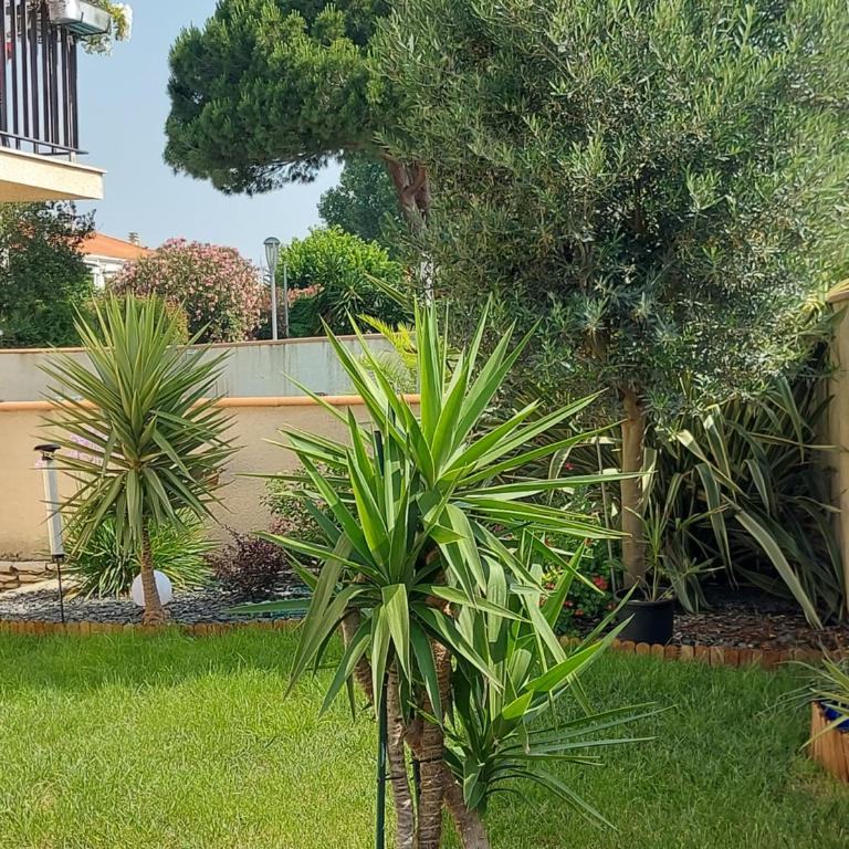 Appartement avec piscine et parking privé - Appartement 1 Chambre - 23