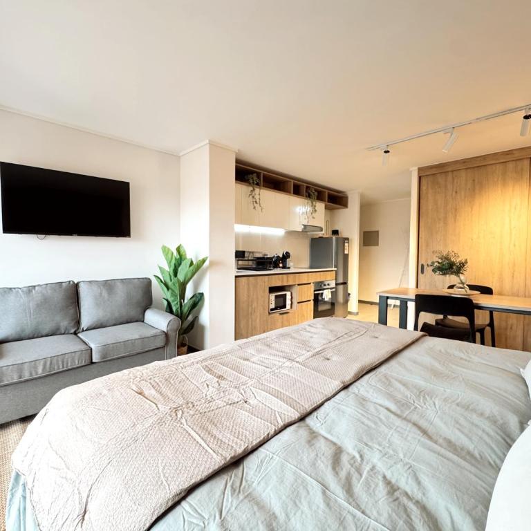 Moderno Apartamento Santiago Centro - Apartamento de 1 dormitorio - 7