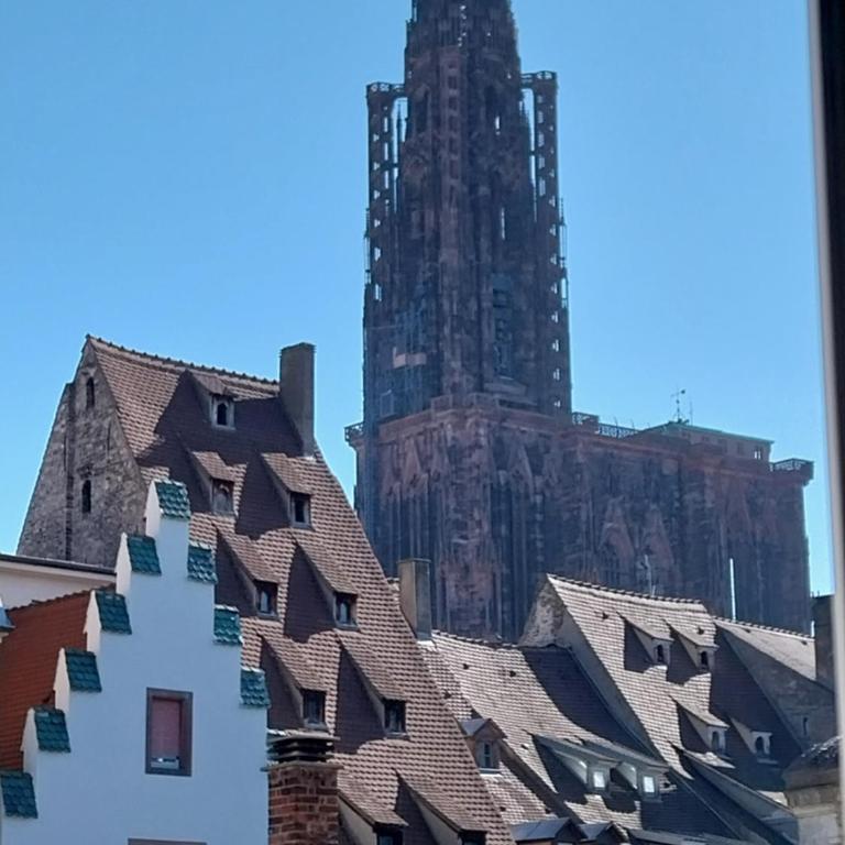 Hypercentre Strasbourg Vue Cathédrale - Appartamento con 1 Camera da Letto - 6
