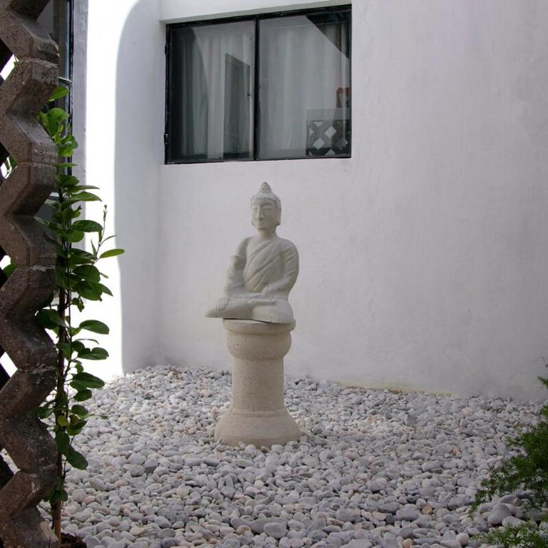 Charming and private with a pool in Merida Centro - Three-Bedroom House - 48