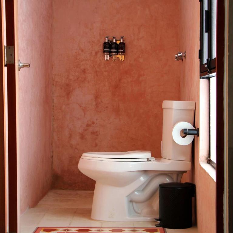 Charming and private with a pool in Merida Centro - Three-Bedroom House - 52