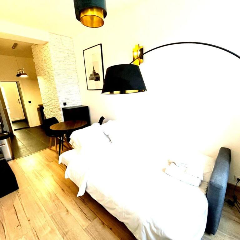 Bercy Arena - Appartement 1 Chambre - 11