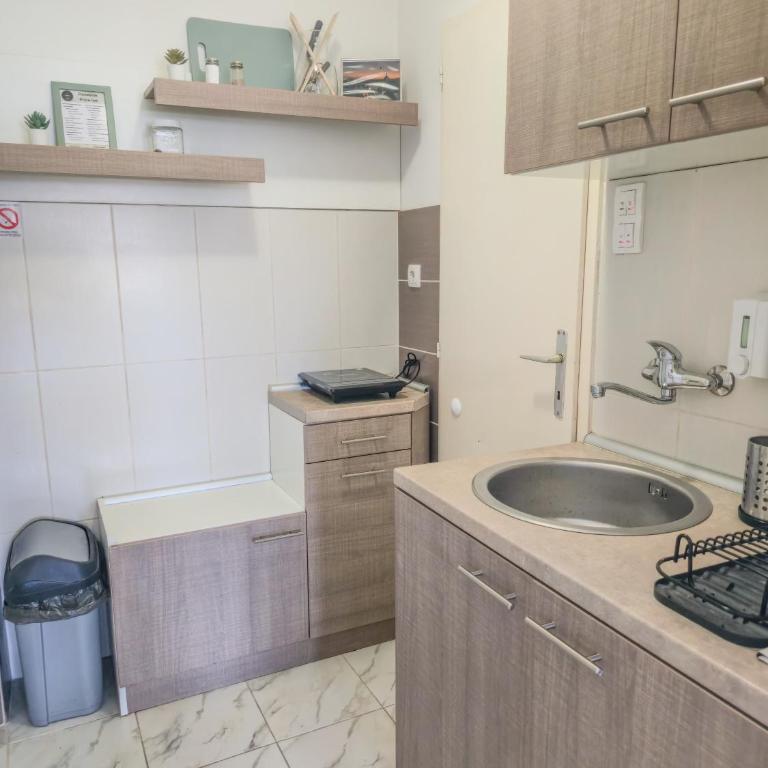 Boulevard studio RentiGo - Apartman sa 1 Spavaćom Sobom - 8