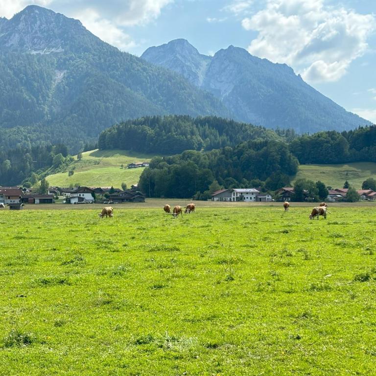 Ruheoase Inzell - Apartment mit 1 Schlafzimmer - 11
