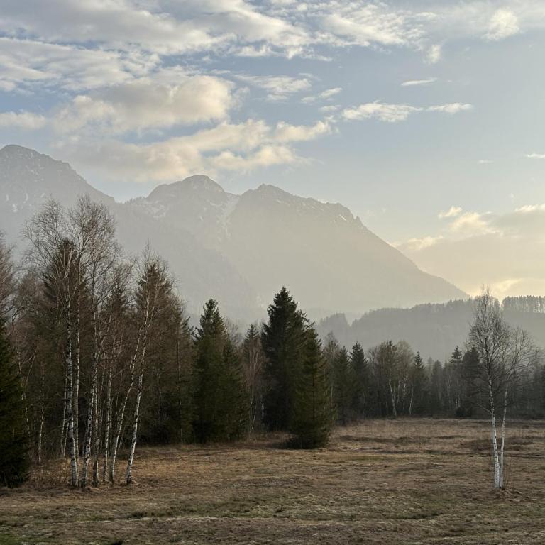 Ruheoase Inzell - Apartment mit 1 Schlafzimmer - 14