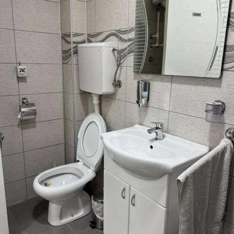 Mitić Apartman's 1 - Studio sa Terasom - 2