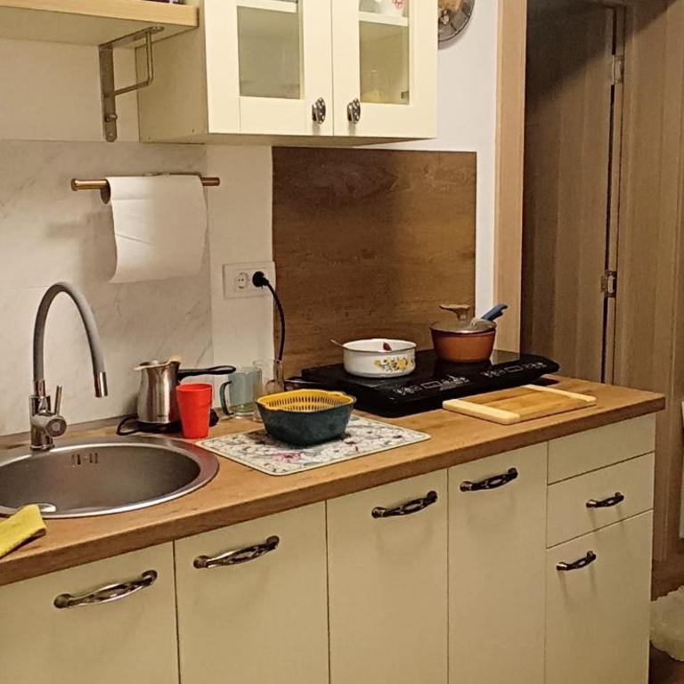 Apartman Orhideja - Apartman sa 1 Spavaćom Sobom - 40