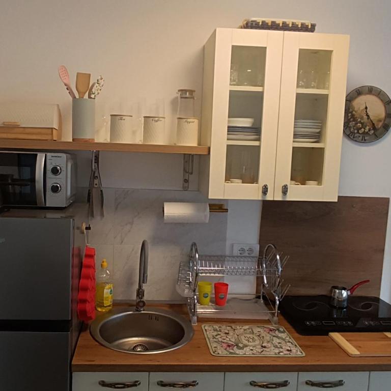 Apartman Orhideja - Apartman sa 1 Spavaćom Sobom - 41