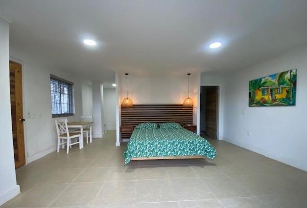 Savannah Inn Studio 101 - Apartamento de 1 dormitorio - 9