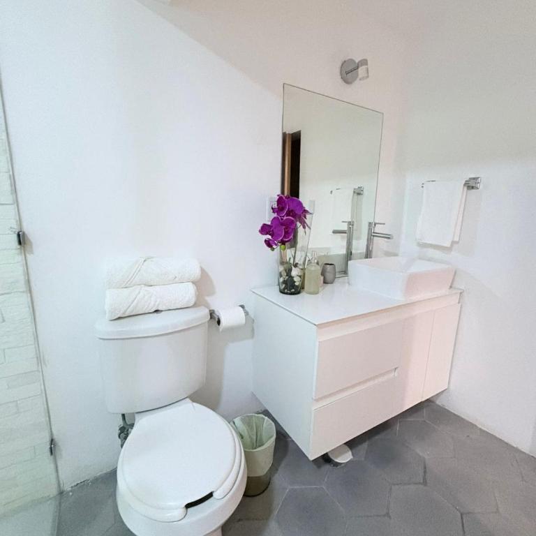 Polanco king suite Roof Top - One-Bedroom Apartment - 16
