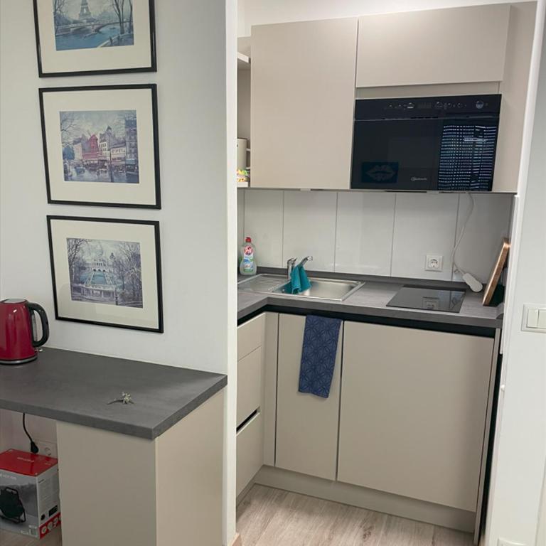 Appartment Schwabenblick - Appartamento con 1 Camera da Letto - 7
