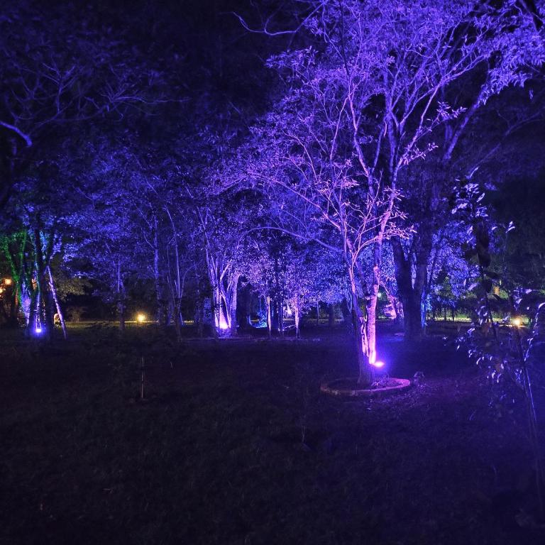 Alquiler cabaña - Chalet de 1 dormitorio - 11