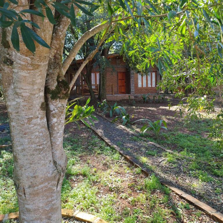 Alquiler cabaña - Chalet de 1 dormitorio - 15