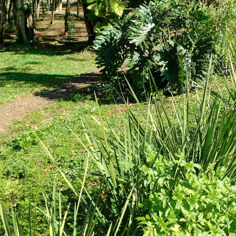 Alquiler cabaña - Chalet de 1 dormitorio - 16