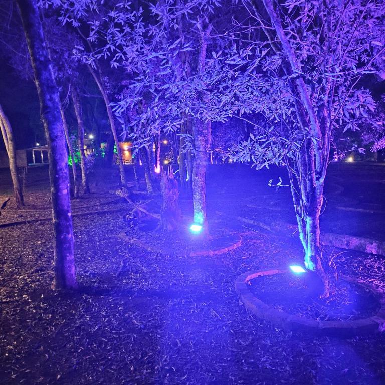 Alquiler cabaña - Chalet de 1 dormitorio - 20