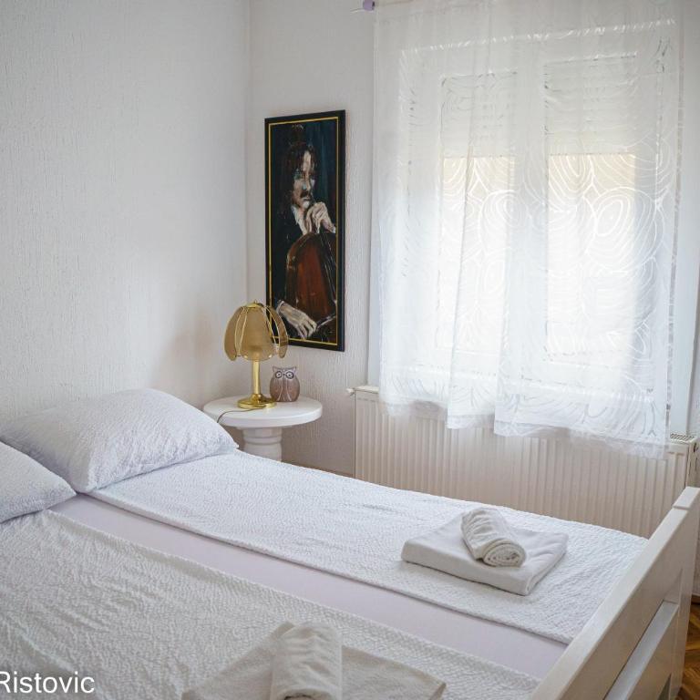 Apartman Ristovic - Apartman sa 3 Spavaće Sobe - 17
