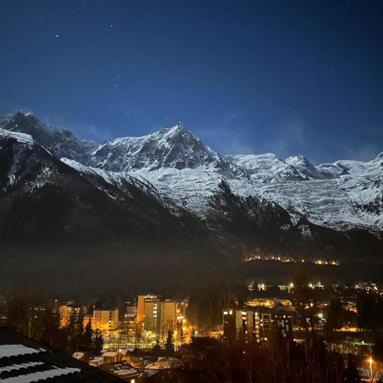 Amazing Mt Blanc View 2 Bed, Parking, 10mins walk - Appartement 3 Chambres - 2