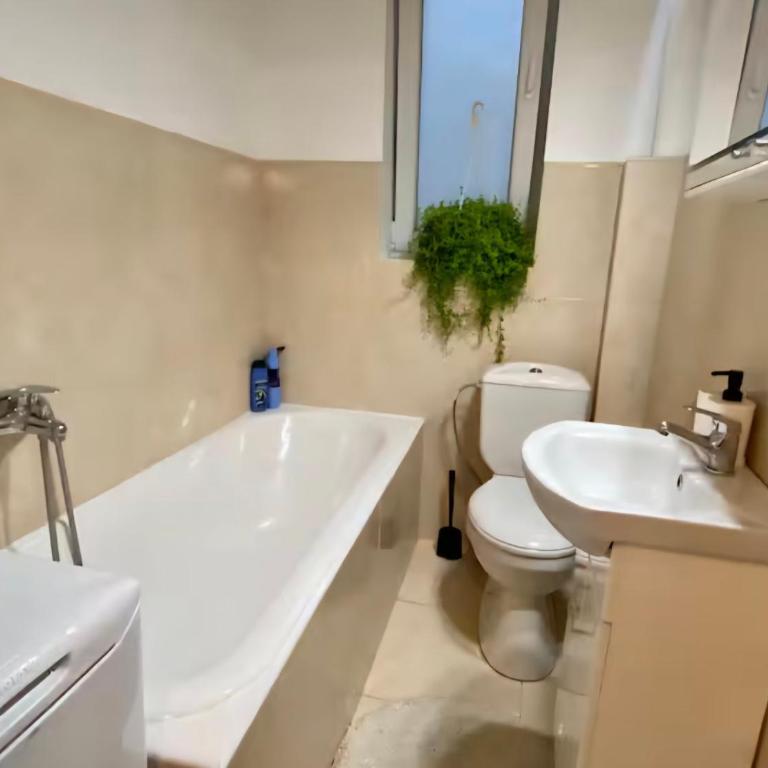 Belgrade Apartment Dorcol - One-Bedroom Apartment - 4
