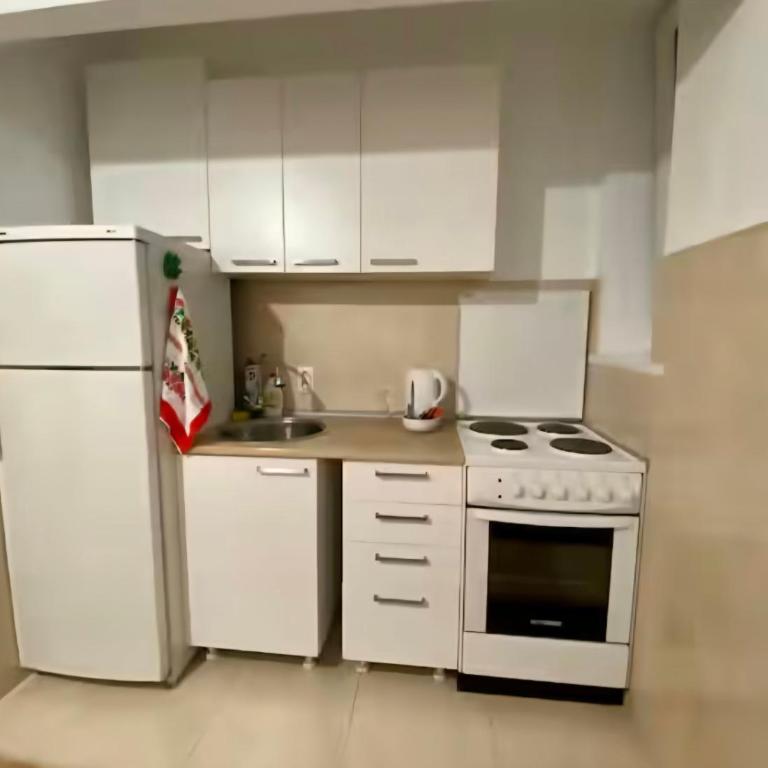 Belgrade Apartment Dorcol - One-Bedroom Apartment - 11