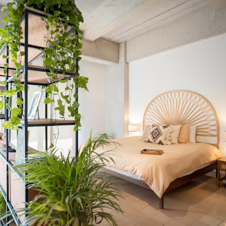 Serra Hospedajes Circulo Americana - Apartamento de 2 dormitorios - 3