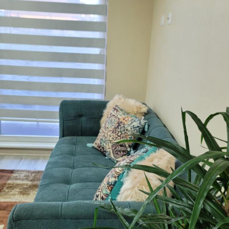 Departamento nuevo y completo en Condominio Volcán Antuco - Apartamento de 2 dormitorios - 9