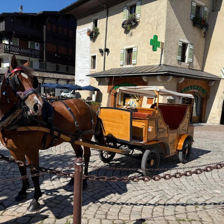 Appartement Soleil d'Or au cœur de Megève - Appartement - 43