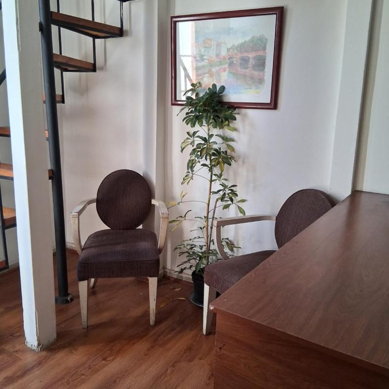 Espacio y Terraza - One-Bedroom Apartment - 4