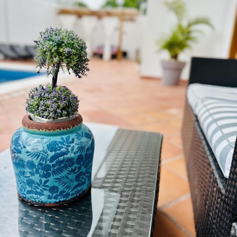 Sky House Cartagena - One-Bedroom House - 23