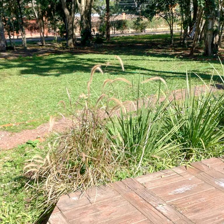 Alquiler cabaña - Chalet de 1 dormitorio - 29