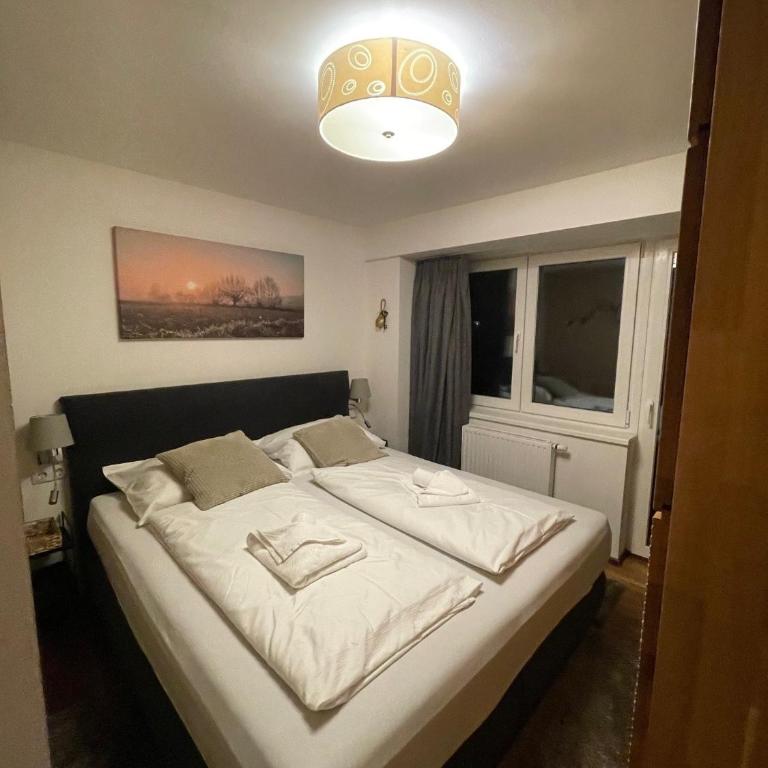 Residence Alpin Kaprun incl SUMMER CARD by All in One Apartments - Apartment mit 2 Schlafzimmern und Bergblick - 18