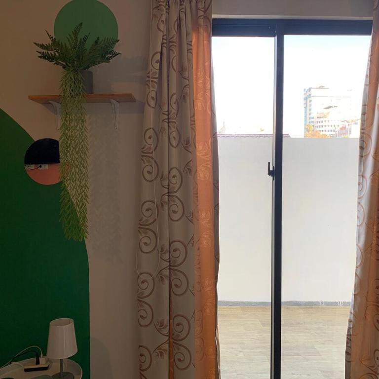 Studio Garden in El Prado - One-Bedroom Apartment - 2