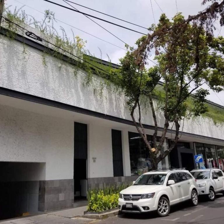 City Gem WiFi, Laundry, Parking, Ideal Location - Apartamento - 44