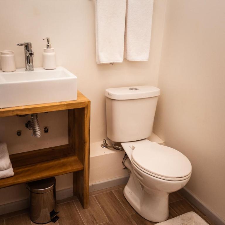 Apart Hotel Lake House - Puerto Varas - One-Bedroom Apartment - 9