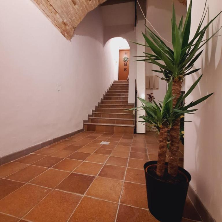 Casa Conti Trivelli - Appartamento con 1 Camera da Letto - 9