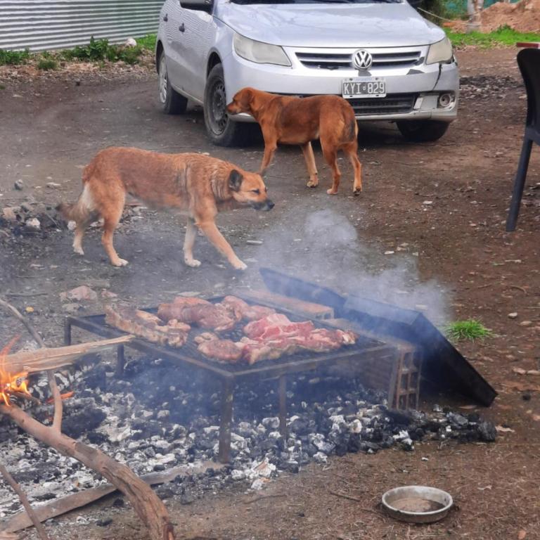 Limones - Casa de 3 dormitorios - 7